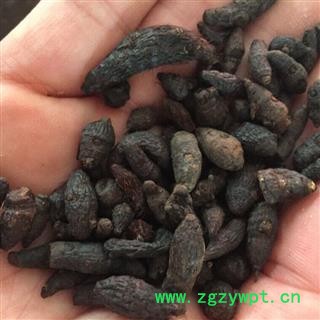 亳州花田错药业 香附    无硫磺  包退包换图2