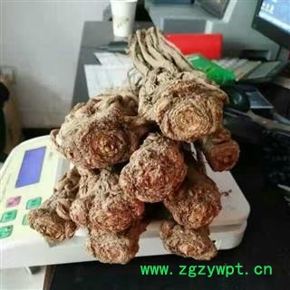当归全当归无硫大条精选十支归岷归甘肃省陇南市宕昌县图3