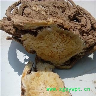 当归全当归无硫大条精选十支归岷归甘肃省陇南市宕昌县图4