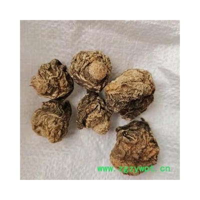 玛卡 云南黑玛咖大个 产地 云南省