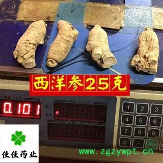 西洋参 西洋参个 短支选装大支25g 软质 供应各种中药材 冷背货 名贵药材 产地 吉林省图4