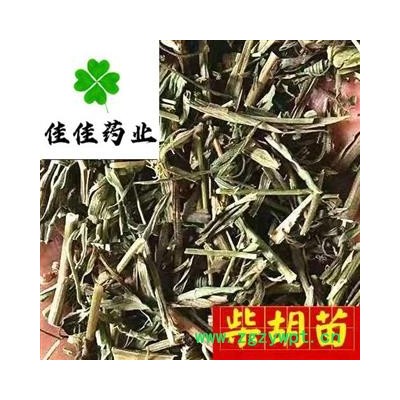 柴胡 统 柴胡苗 苗柴胡 产地直销 产地 山西省