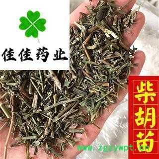 柴胡 统 柴胡苗 苗柴胡 产地直销 产地 山西省图2