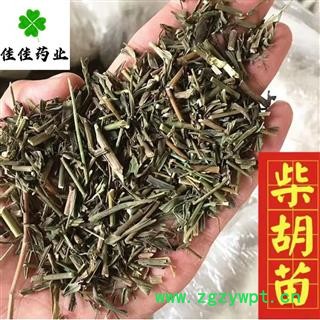 柴胡 统 柴胡苗 苗柴胡 产地直销 产地 山西省图3