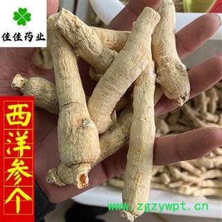 西洋参 西洋参个 西洋参长支15-25g 产地直销 产地 吉林省图4