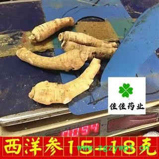 西洋参 西洋参个 西洋参长支15-25g 产地直销 产地 吉林省图3