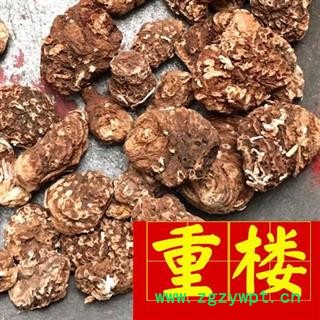 重楼 尼泊尔重楼选 实物图 过筛货 产地 海外图2