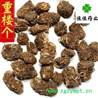 重楼 尼泊尔重楼选 实物图 过筛货 产地 海外图3