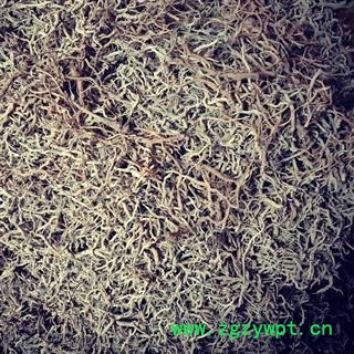 (包邮)特级云防风图3