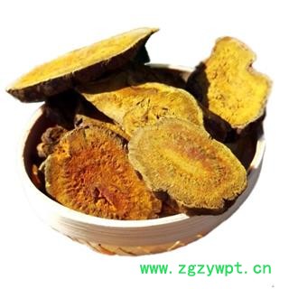 野生土大黄片  精选土大黄切片   无硫、纯天然精选土大黄片图2