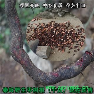 秦树根枣树皮酸枣树岭材枣野野枣老野生根中根枣药根生枣树皮1000g图2