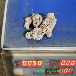 三七 三七30头 产地 云南省图2