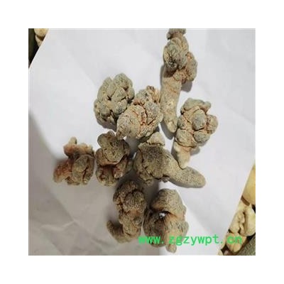 三七 三七30头 产地 云南省