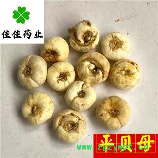 平贝母 平贝母选装 大平贝母 供应各种中药材 产地 吉林省图2