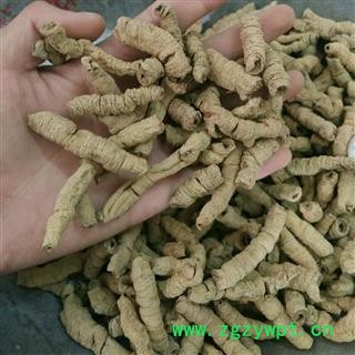 大巴戟肉 大巴戟天 产地直销 巴戟肉一级个0.8 专注高品质中药材 产地 广西壮族自治区图2