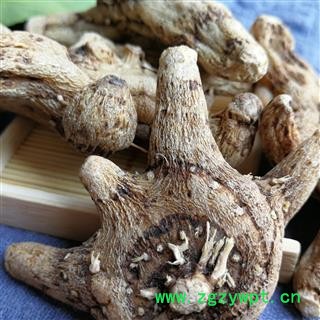 白及 白及产地 云南省临沧市图2