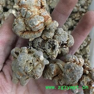 【录建药业】三七 水洗40头三七 产地 云南省文山壮族苗族自治州文山县图2