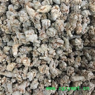 【录建药业】三七 水洗40头三七 产地 云南省文山壮族苗族自治州文山县图3