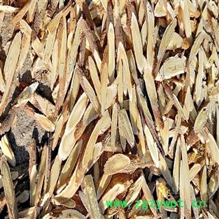 高品质野生红芪指甲片、柳叶片 片片精选、片片真情图3