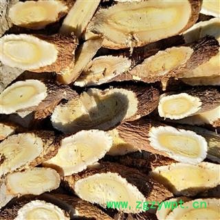 高品质野生红芪指甲片、柳叶片 片片精选、片片真情图4