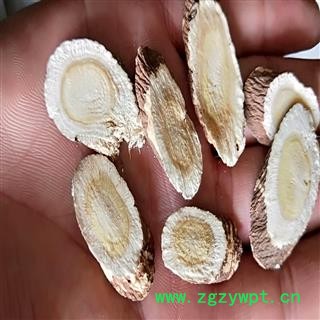 高品质野生红芪指甲片、柳叶片 片片精选、片片真情图2