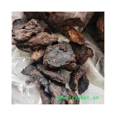 地黄 选装大片 产地 山西省