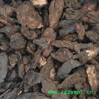 地黄 选装大片 产地 山西省图2