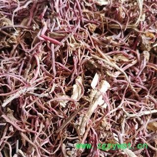 紫菀 河北紫菀选片 产地 安徽省亳州市涡阳县图2