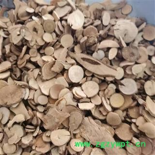 乌药 乌药圆片统片 产地 广西壮族自治区图3