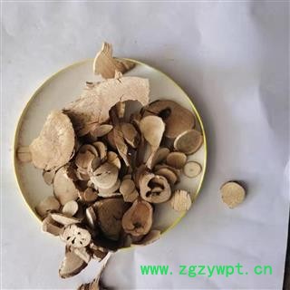 乌药 乌药圆片统片 产地 广西壮族自治区图2