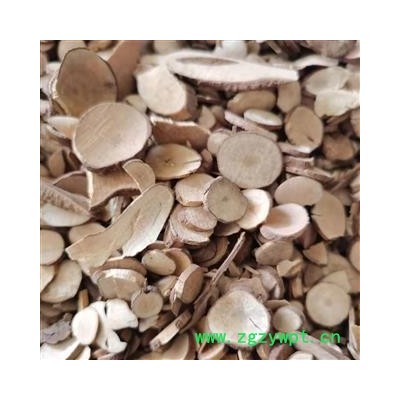 乌药 乌药圆片统片 产地 广西壮族自治区