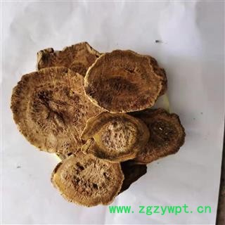 大黄 四川大黄统片 产地 四川省图2