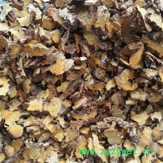 射干 祁射干统片 产地 河北省保定市安国市图3