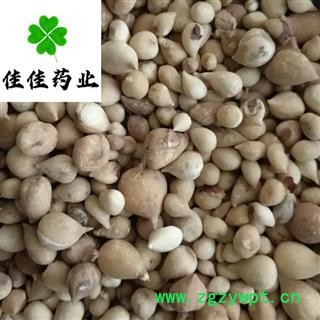 山慈菇 光慈菇好统货 正品 冰球子 供应大货 产地 云南省图4