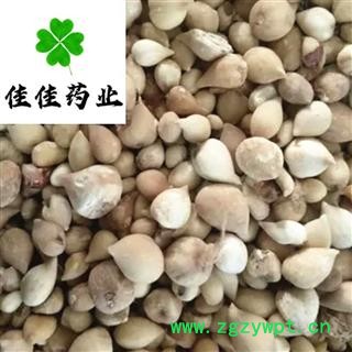 山慈菇 光慈菇好统货 正品 冰球子 供应大货 产地 云南省图3