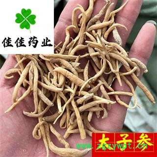 太子参 太子参大统货 无硫货 供应各种中药材  产地 贵州省图2