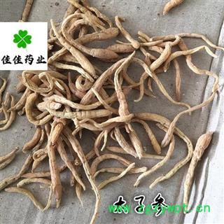 太子参 太子参大统货 无硫货 供应各种中药材  产地 贵州省图3