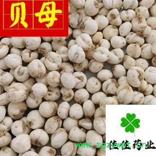 贝母 选装 圆球状 豆贝母 小圆贝母 实物图 促销 降价 产地 吉林省图3