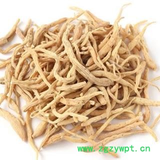 太子参 太子参选装 无硫货 实物图 产地 贵州省 太子参、童参、四叶参、米参 孩儿参图2