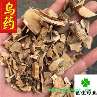 乌药 统货 0.2筛 供应各种中药材 冷背货 矿石等 产地 江西省图2