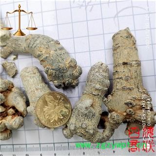 四海商联 三七30头 水洗滑头 不打蜡 包药检 500g/袋 37 田七图2