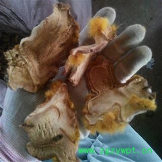 【录建药业】新货金毛狗脊1000克 味道浓郁 药劲十足 假一赔十 规格齐全 批发零售抓方打粉图3