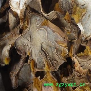 【录建药业】新货金毛狗脊1000克 味道浓郁 药劲十足 假一赔十 规格齐全 批发零售抓方打粉图4