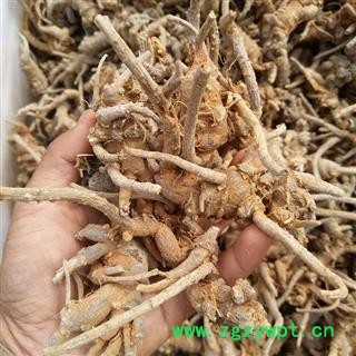 （包邮）文山特级全支三七图2