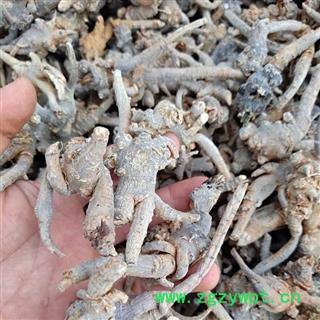 （包邮）文山特级全支三七图3