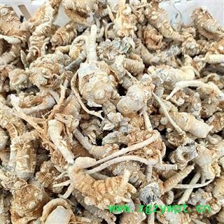 （包邮）文山特级全支三七图4