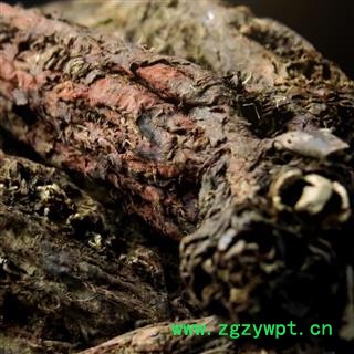 秦艽 选货 产地 陕西省安康市镇坪县图4