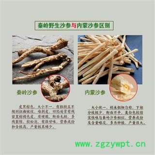 陕西秦岭野生南沙参特级无硫精选干沙参片沙参条2020新货500g包邮图3