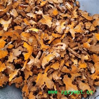 射干 祁射干统片 产地 河北省图2