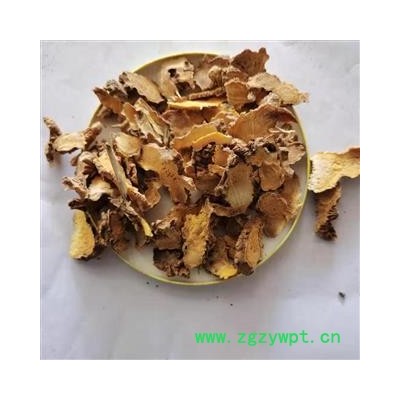 射干 祁射干统片 产地 河北省